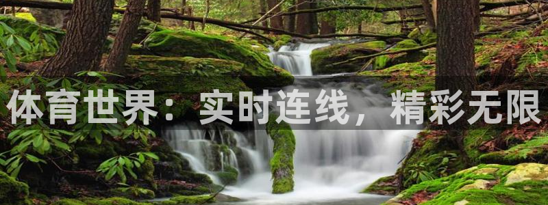 河豚tv