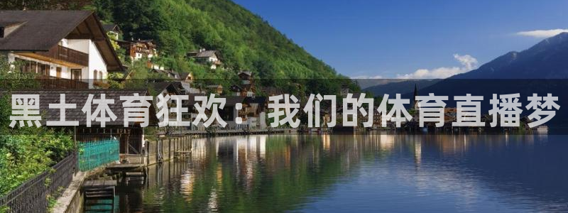 河豚体育直播网