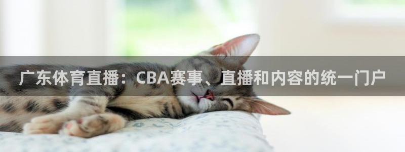体育新闻