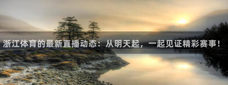 河豚体育直播网