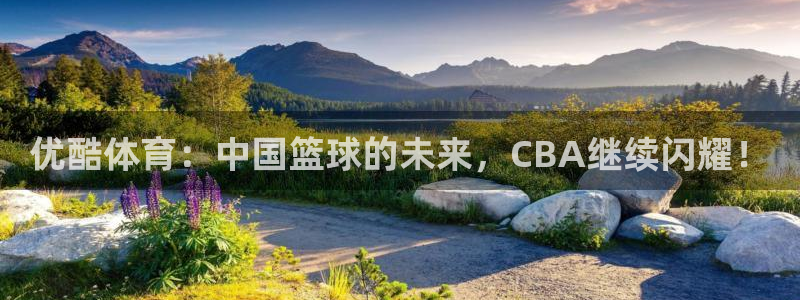 河豚nba直播官网
