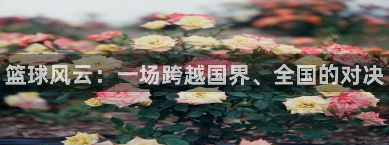 河豚直播在线看球
