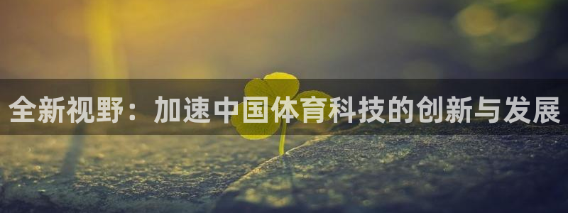 河豚体育直播