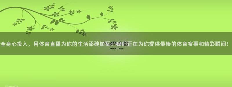 河豚体育在线观看直播