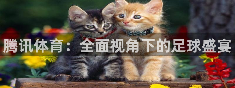 体育新闻