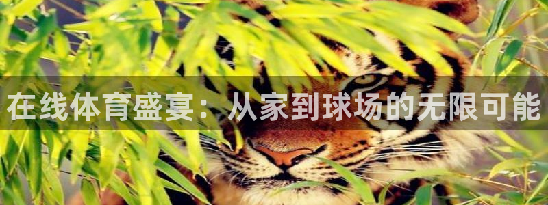 体育新闻